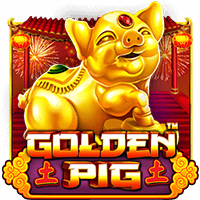 Golden Pig